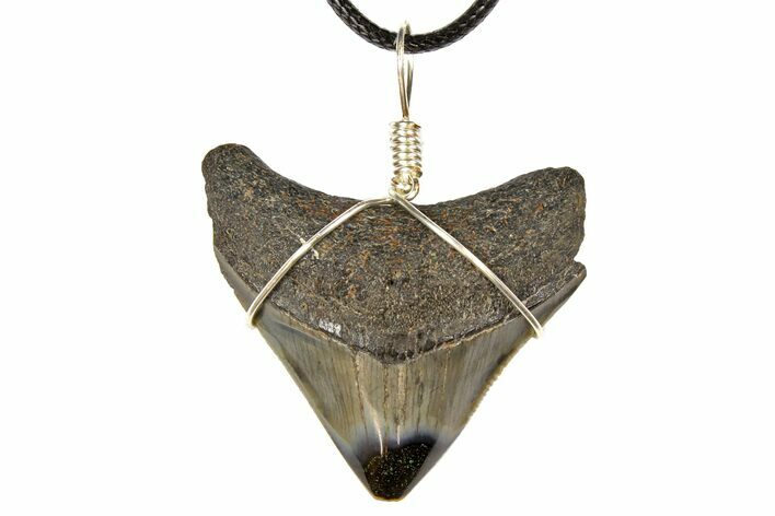 Fossil Megalodon Tooth Necklace #130923